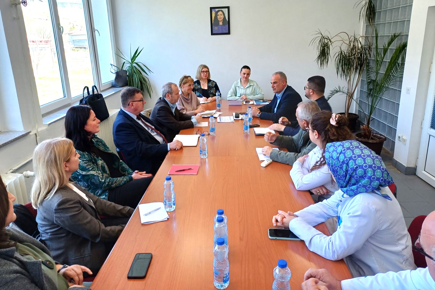Exploring Diabetic Patient Care Pathways in Peja